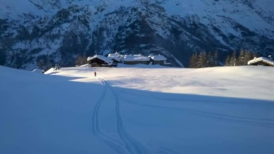 Chalet Le Lis Valtournenche Zewnętrze zdjęcie