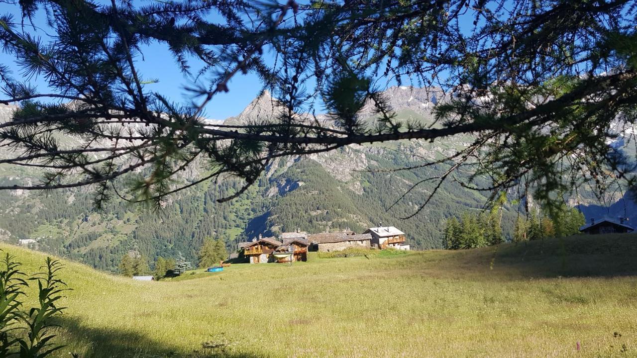 Chalet Le Lis Valtournenche Zewnętrze zdjęcie